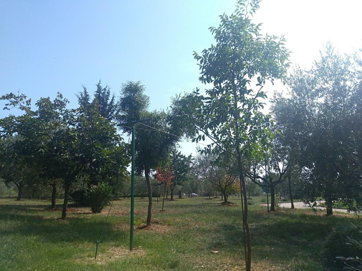 Novigrad Istria Apartment Ivana מראה חיצוני תמונה